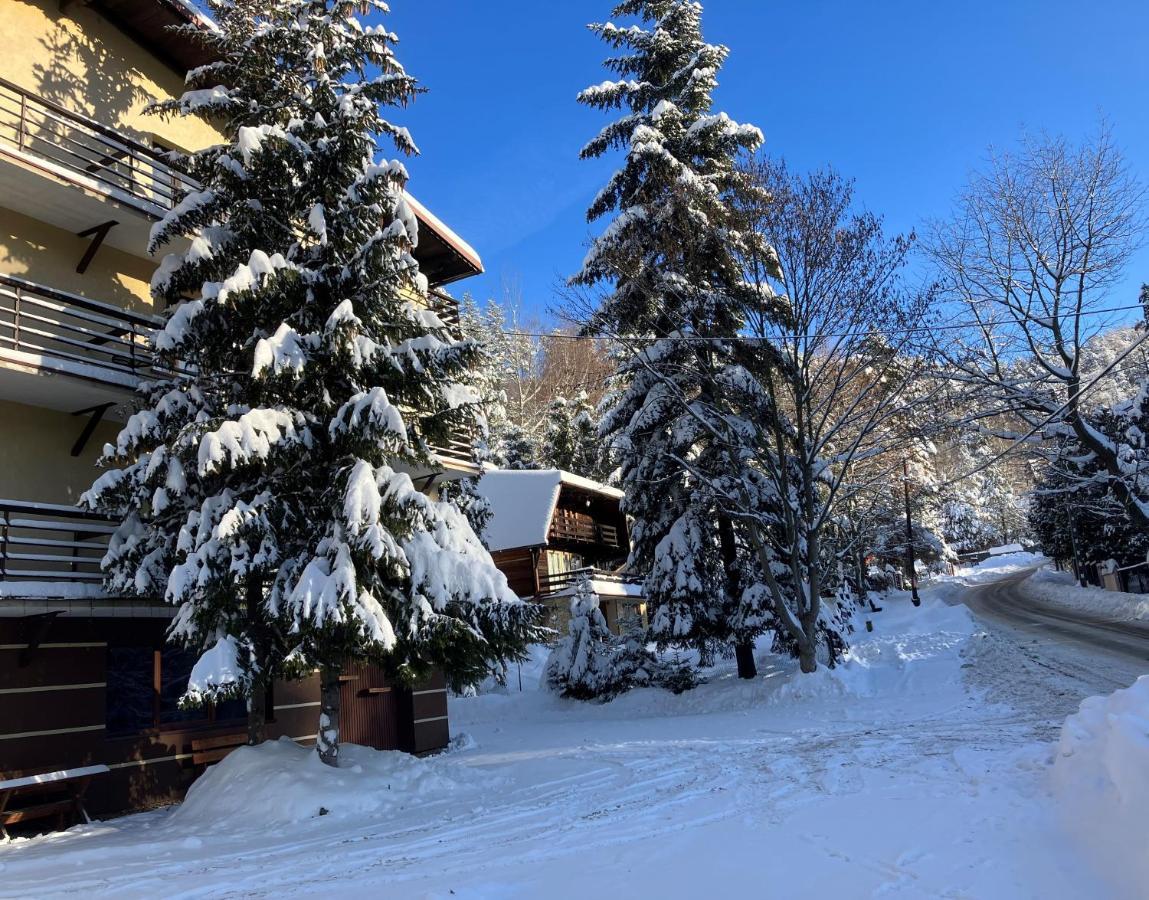 Niezapominajka Bed & Breakfast Szczyrk Bagian luar foto