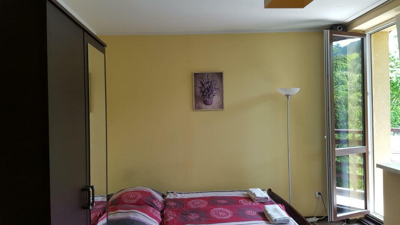 Niezapominajka Bed & Breakfast Szczyrk Bagian luar foto